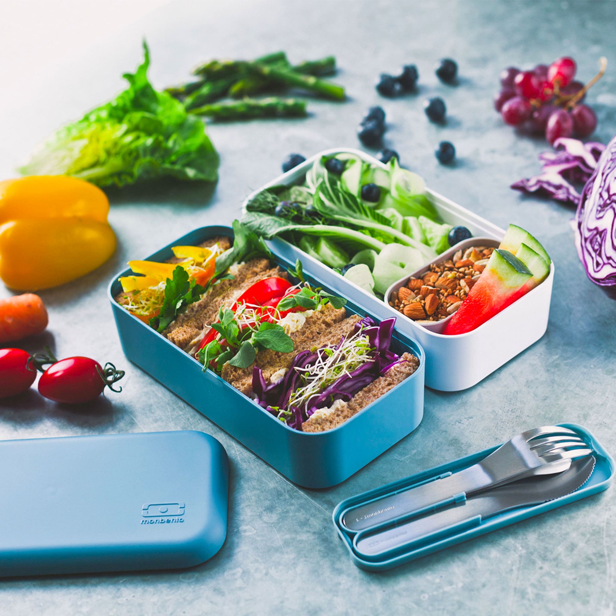 Destiny Mon Bento Isotherme Boite A Lunch MONBENTO Original